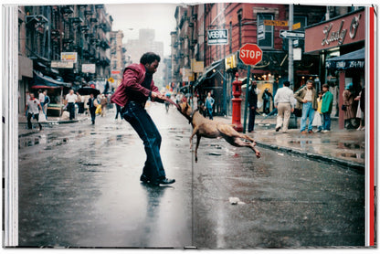 New York. Portrait of a City (English)