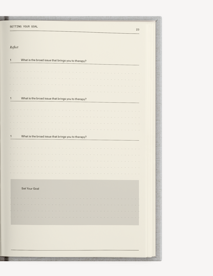 The Therapy Companion Set