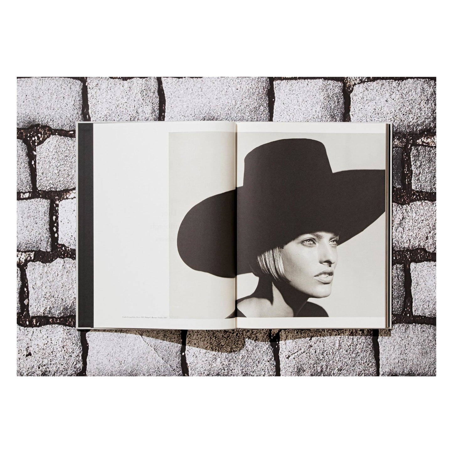 Peter Lindbergh. Dior (German, French, English)