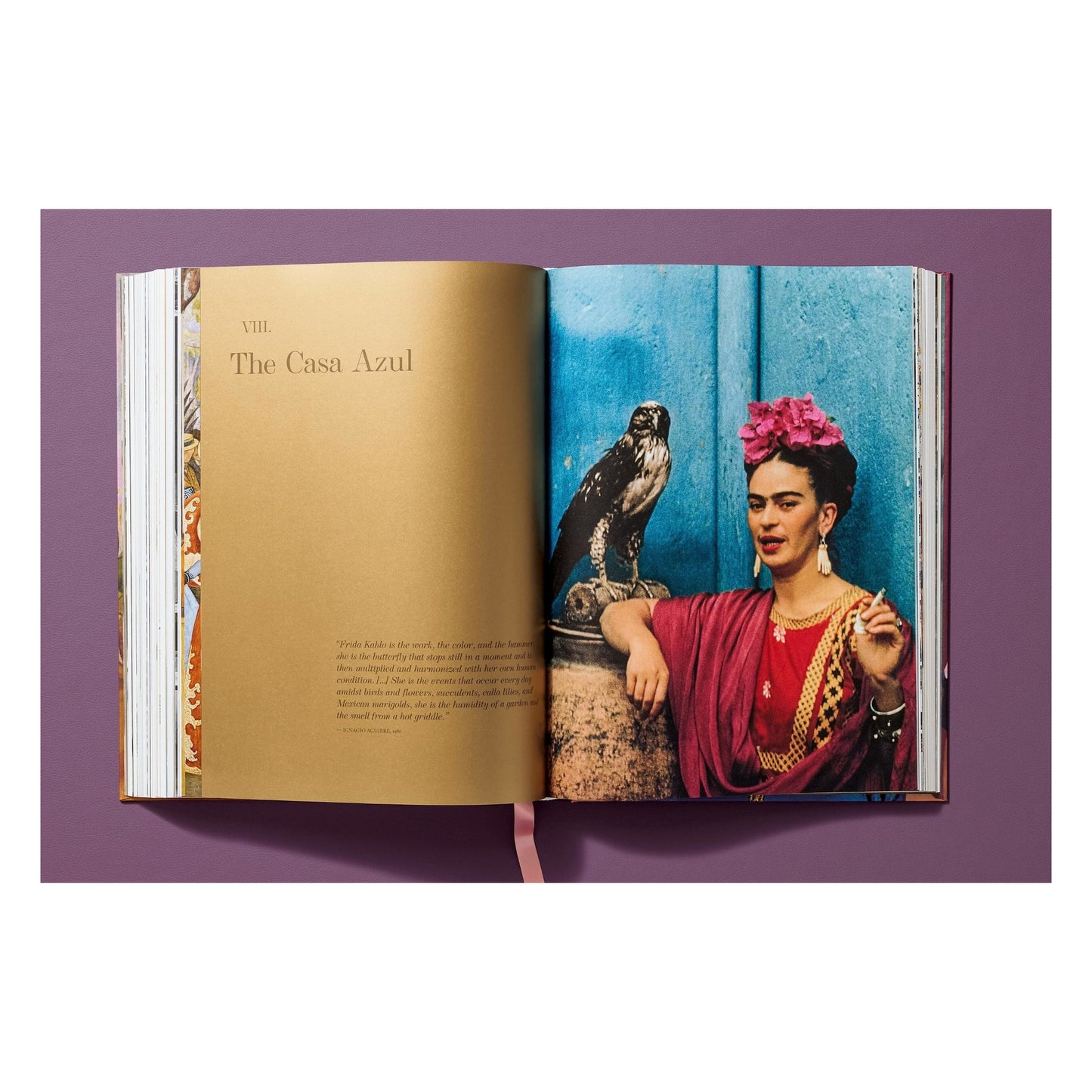 Frida Kahlo. The Complete Paintings (English)