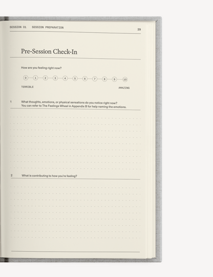 The Therapy Companion Set