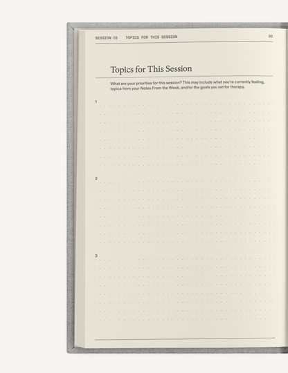 The Therapy Companion Set