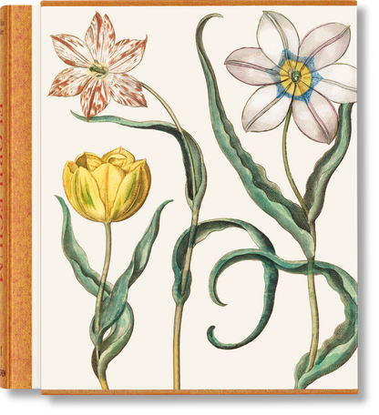 Basilius Besler. The Garden at Eichstätt (German, French, English) (FFE)