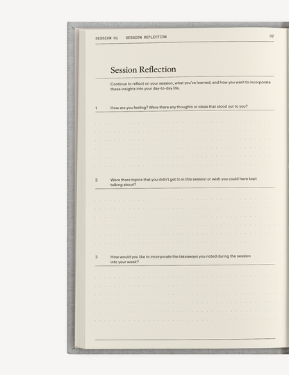 The Therapy Companion Set