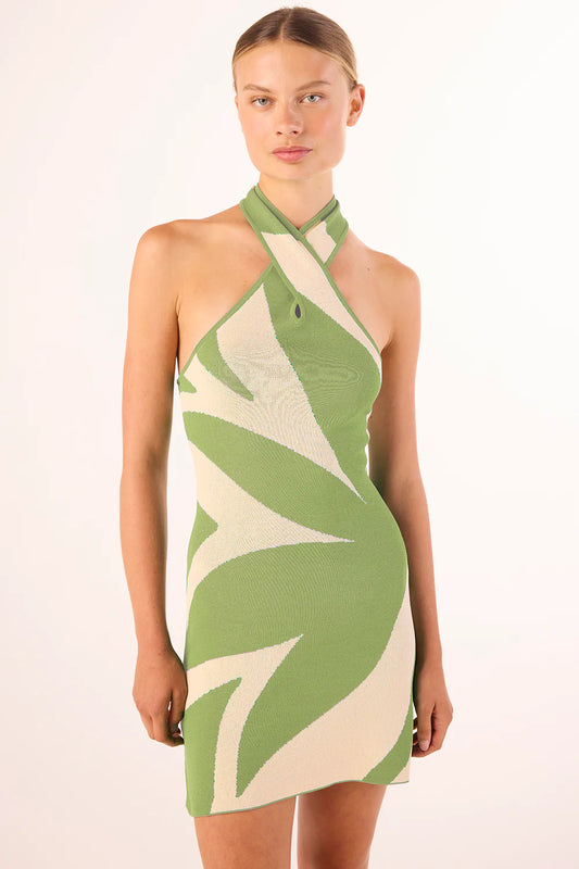 Ishani Dress