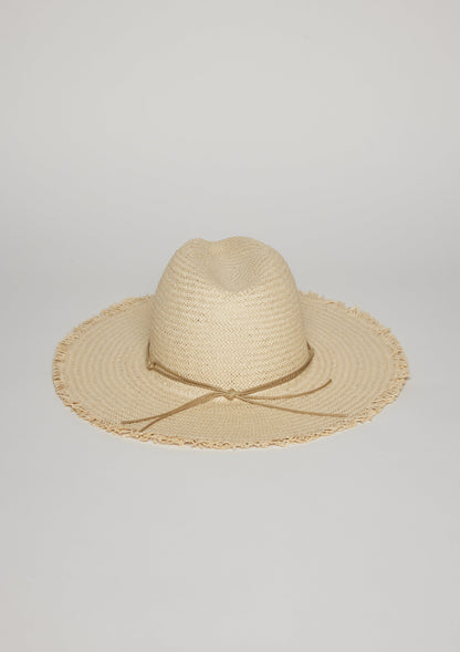 Fringed Traveler Continental