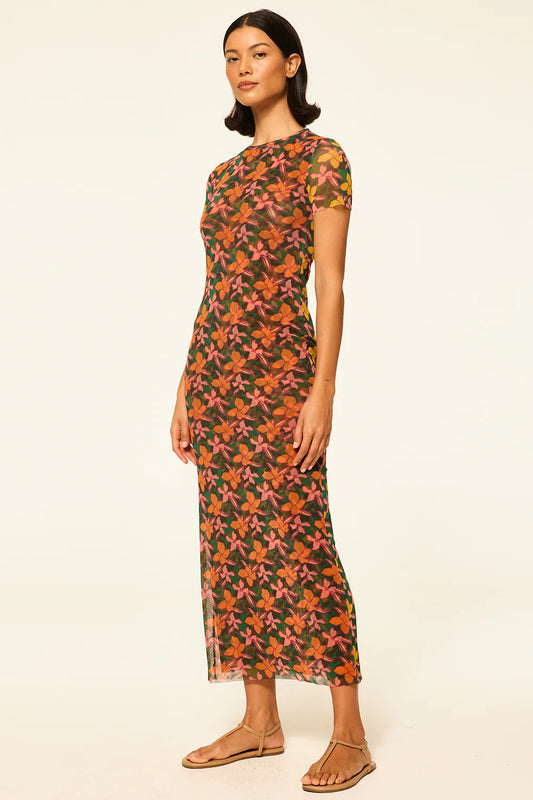 Vanessa Dress