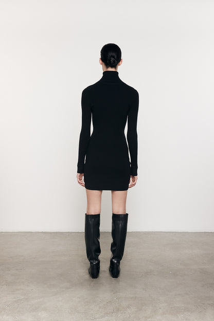 Silk Sweater Rib Turtleneck Mini Dress