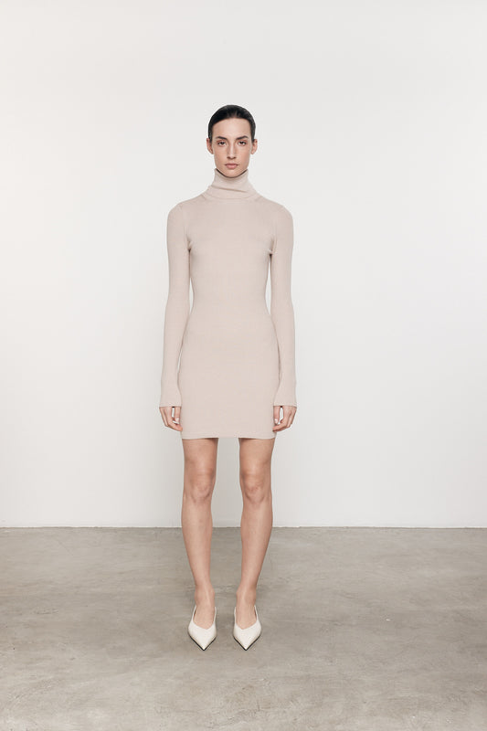 Silk Sweater Rib Turtleneck Mini Dress