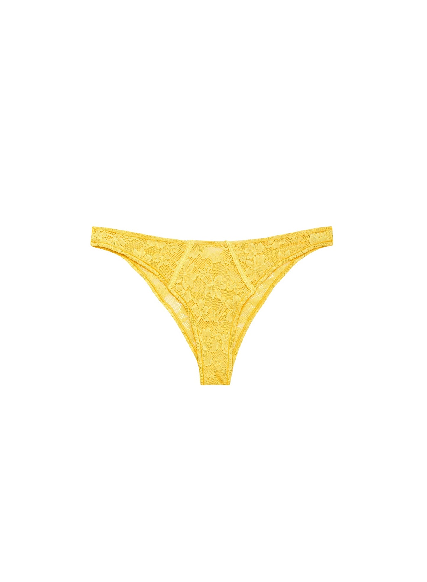 Le Stretch Lace Cheeky