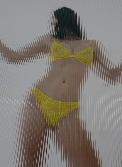 Le Stretch Lace Demi Bra
